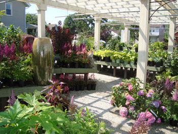 Bremec on the Heights