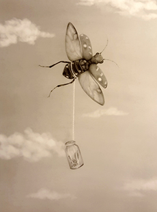 Collector, Linda Ayala