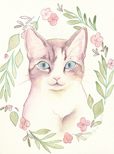 bryan_pp-cat230x310v