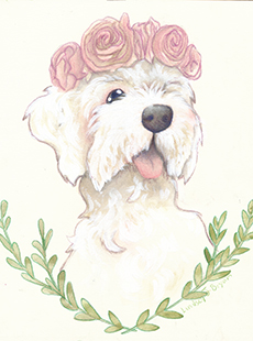 bryan_pp-dog230x310v