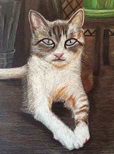 Pet Project sample art Jessica Miroglotta