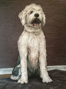jessica_miraglotta_pp-dog230x310v