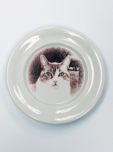 Kristen Cliffer sample cat portrait