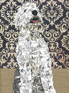 maggy_brown_pp-dog230x310v