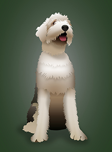rueger_pp-dog230x310v